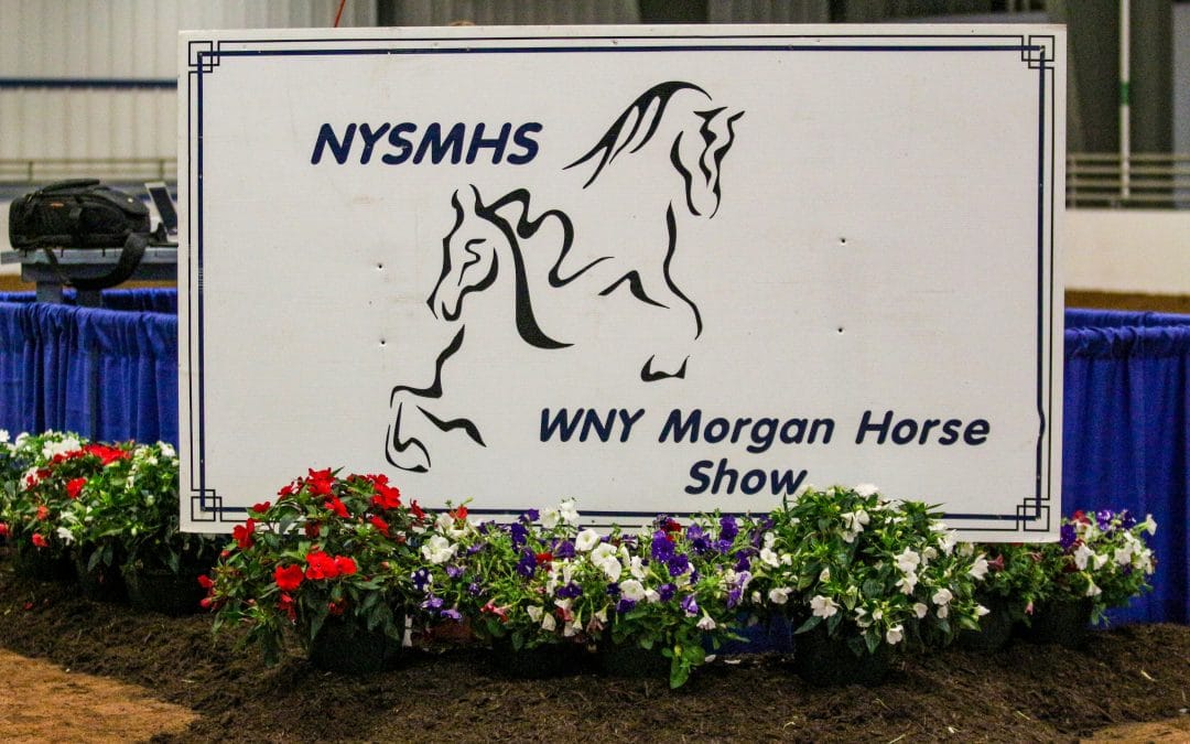 Results from the 2024 Western NY Morgan Show