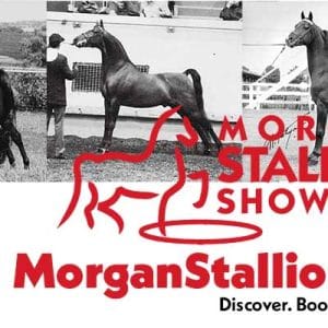 Digital Morgan Trader Ad