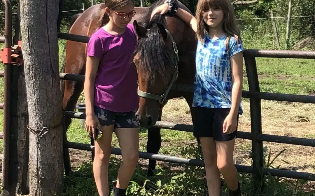 American Heritage Farm News