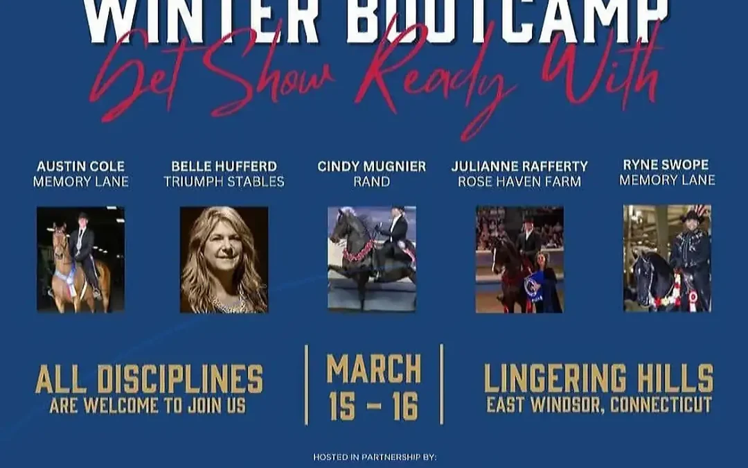 2025 Winter Bootcamp