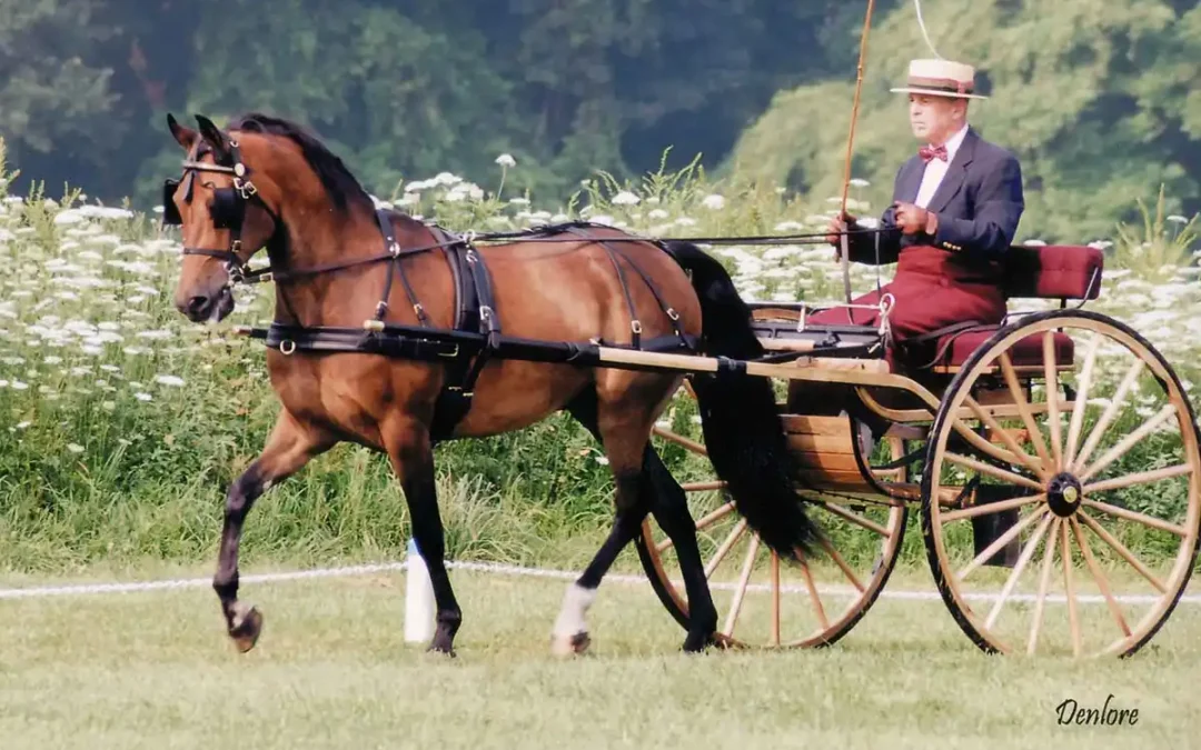 Why Not Be Comfortable?