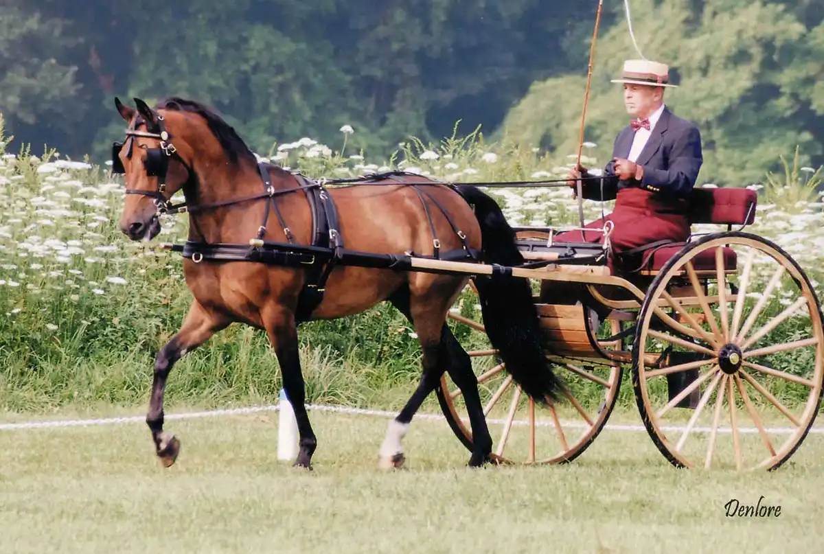 Jeff Morse & SBS Risky Business