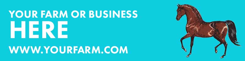 sample website banner